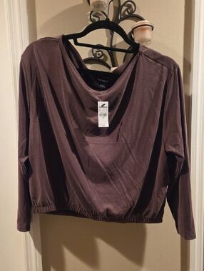 Express Cocoa Cropped Drape Neck Long Sleeve Top